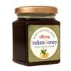 Himalayan Multiflora & Tulsi Lemon Ginger Honey Combo 2x230g